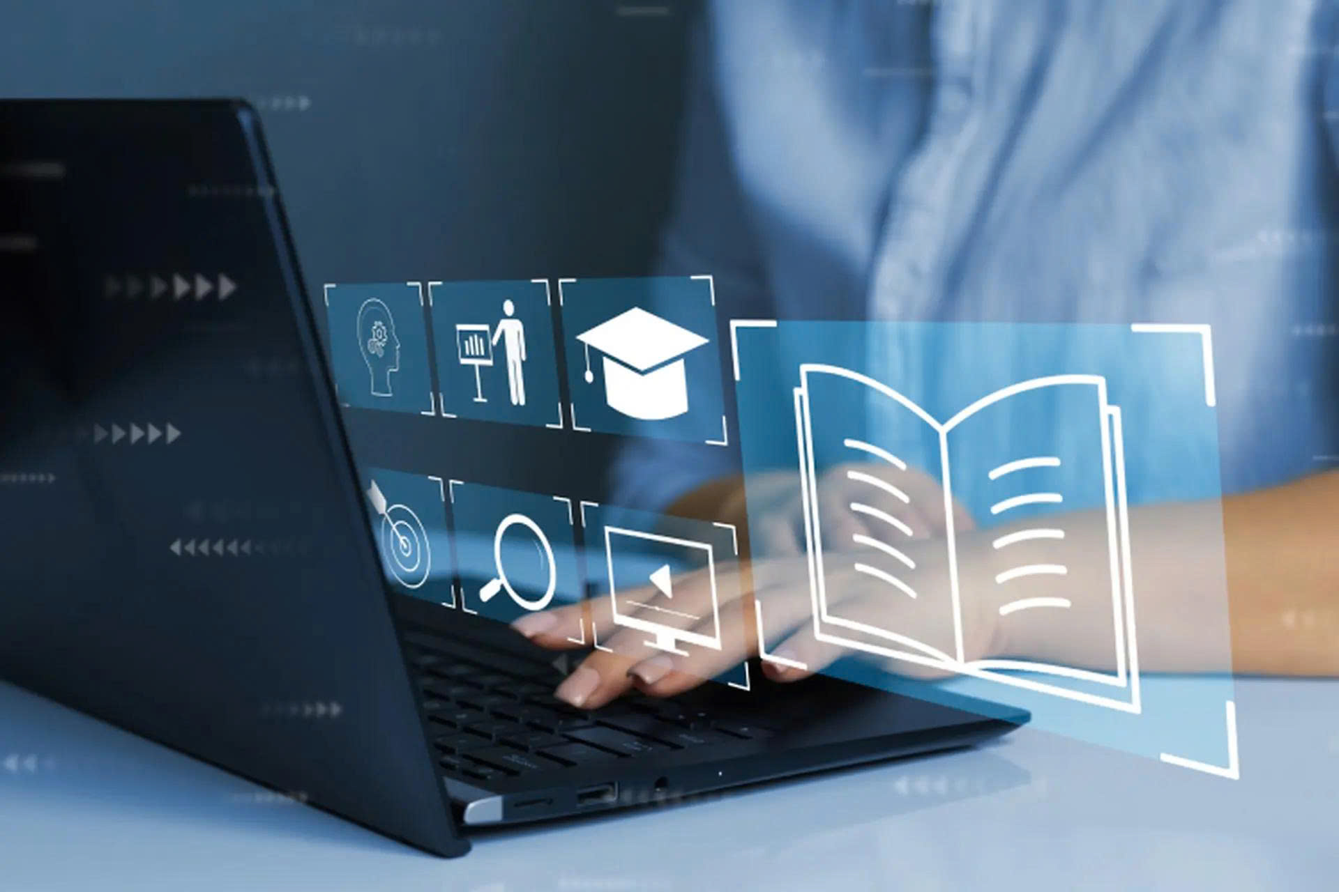Minh họa các phân hệ DMS